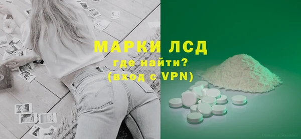 PSILOCYBIN Алзамай