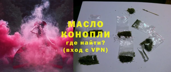 сатива Новозыбков
